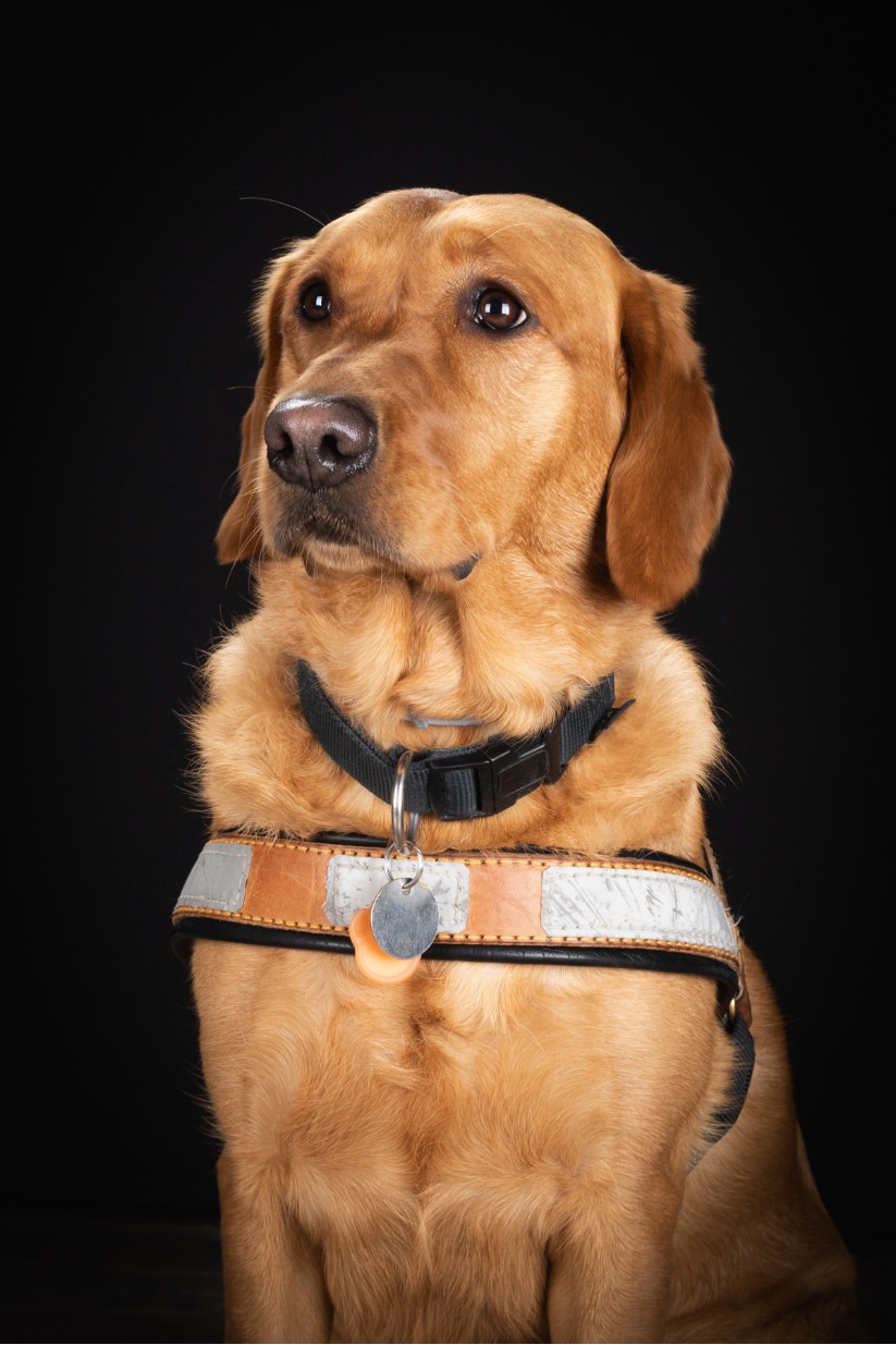 ©Xavier-randria.com