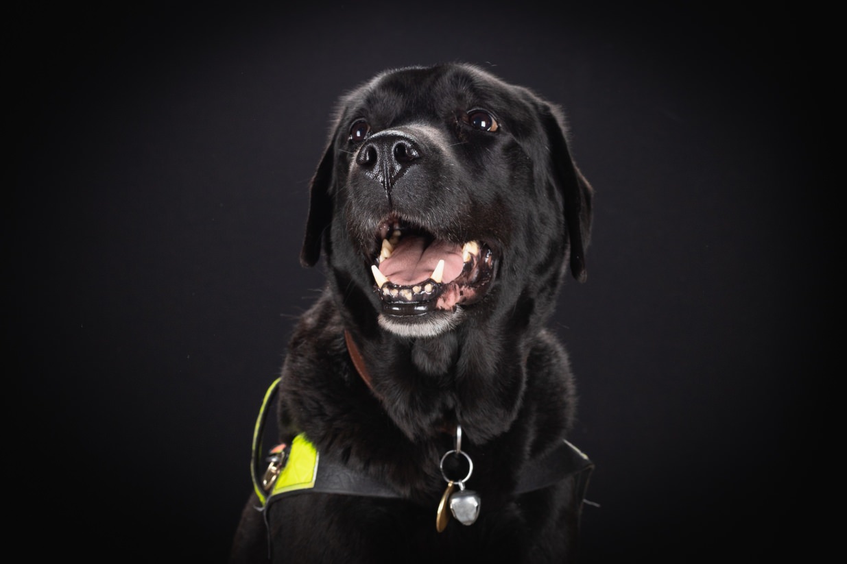 ©Xavier-randria.com