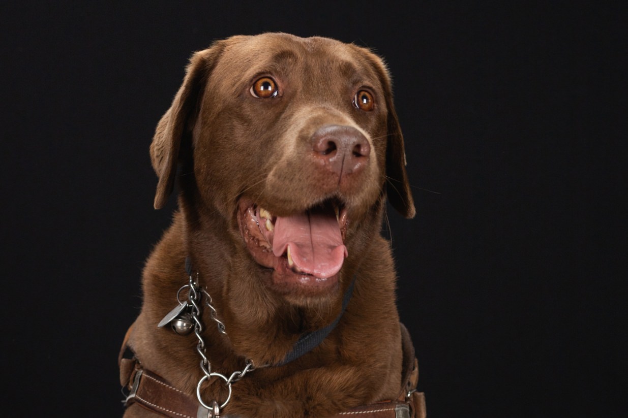 ©Xavier-randria.com