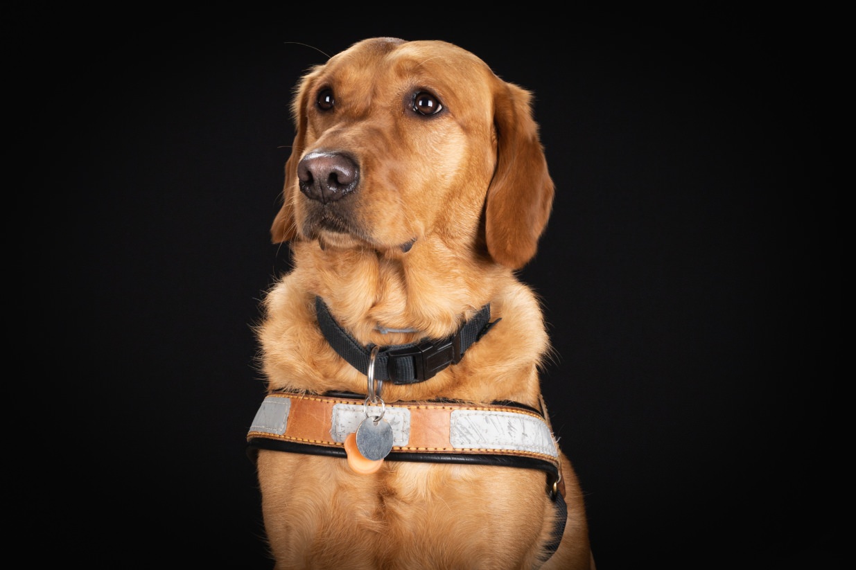 ©Xavier-randria.com