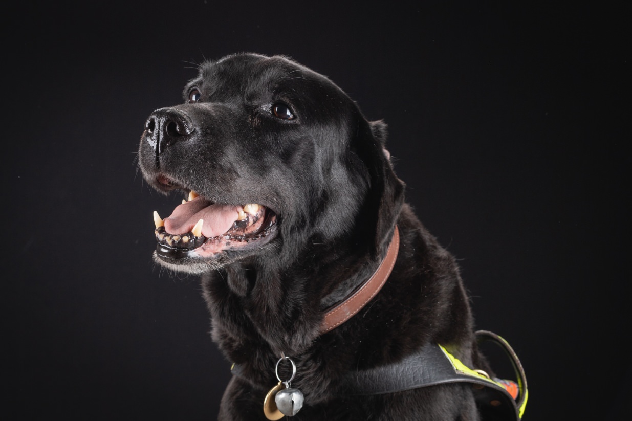 ©Xavier-randria.com