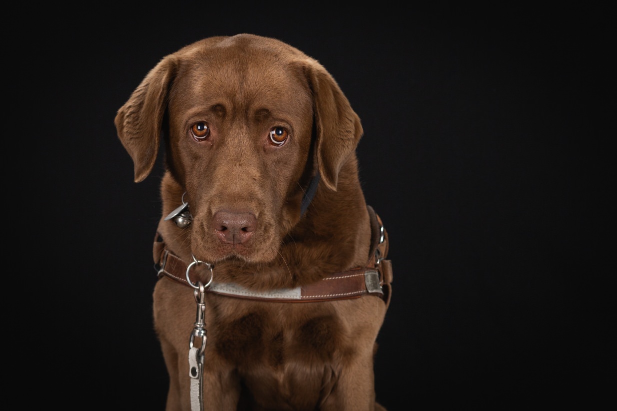 ©Xavier-randria.com