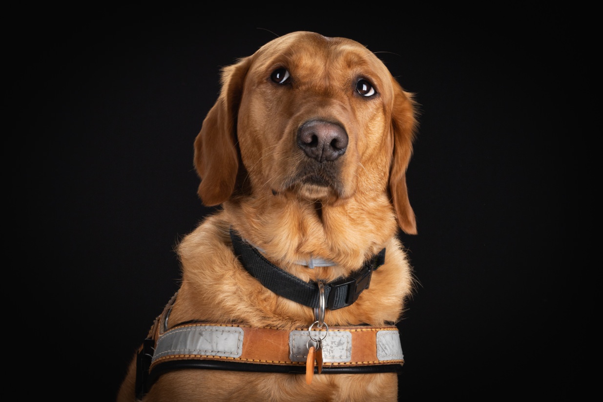 ©Xavier-randria.com