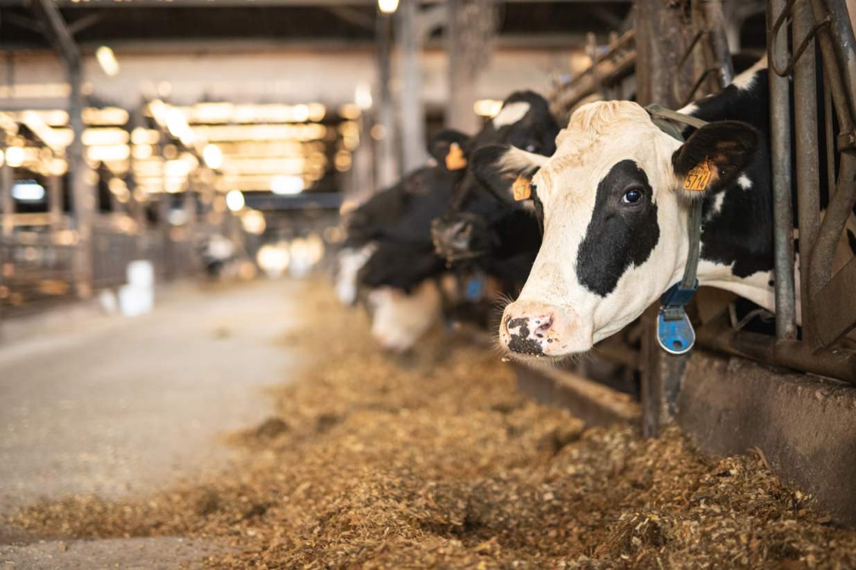 ©Xavier-randria.com